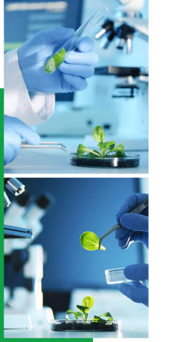 創(chuàng)新驅(qū)動(dòng)，智領(lǐng)未來——我們的企業(yè)簡(jiǎn)介